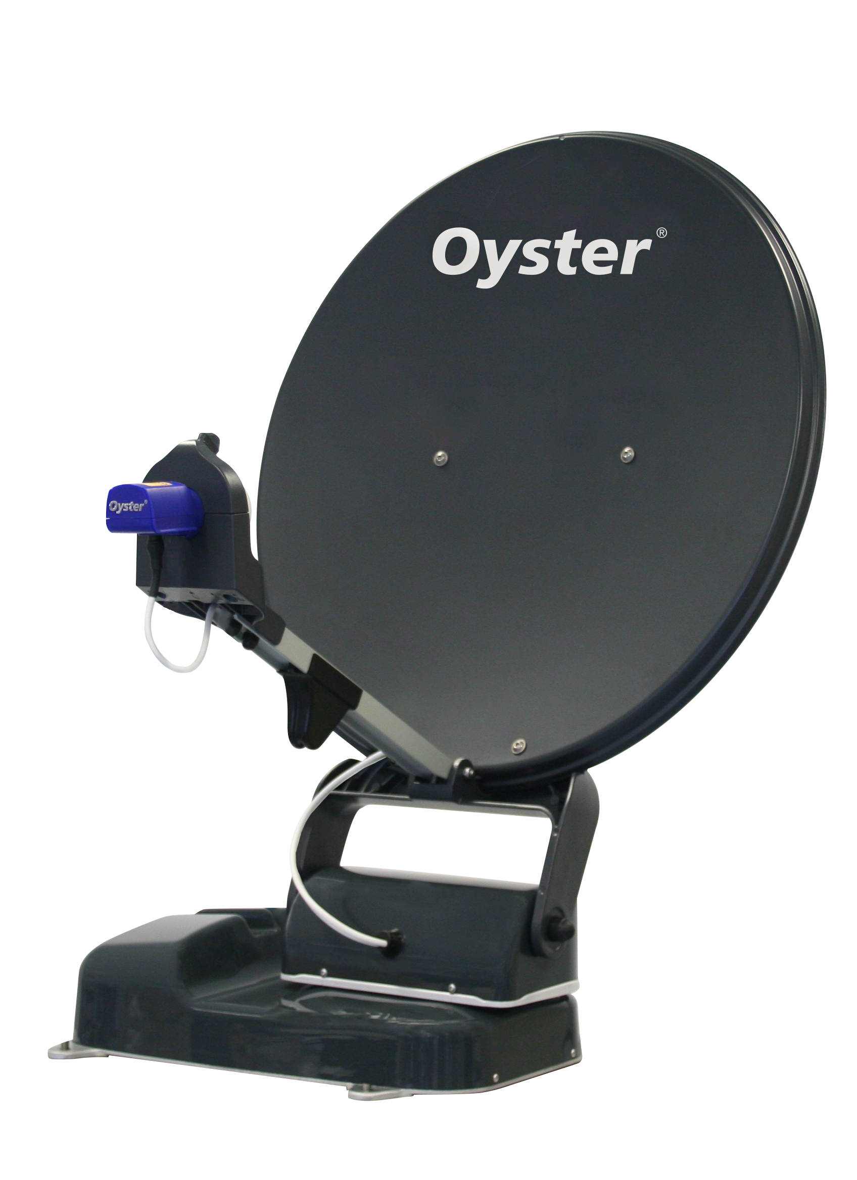 Thumbnail for Oyster 60